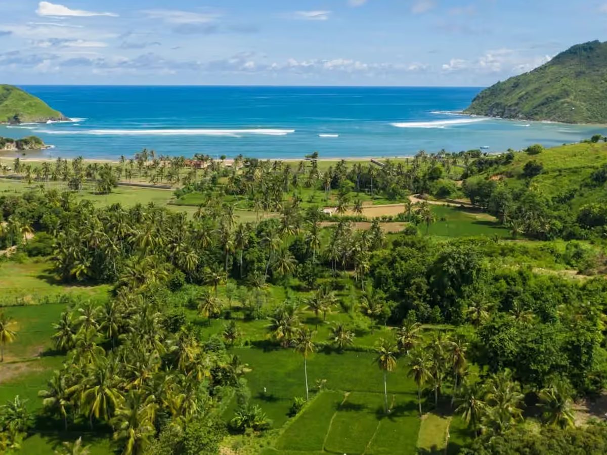 Vue aérienne d'une vallée de cocotiers face à une baie du Sud de Lombok